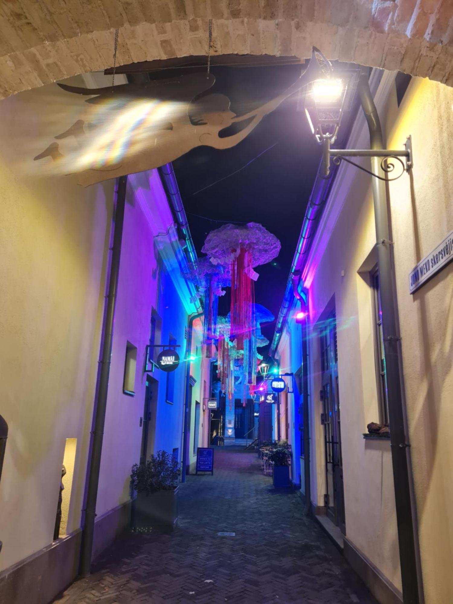Angel Wing Apartamentai Вильнюс